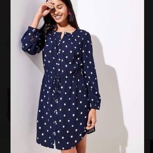 LOFT Navy Ikat Dot Shirtdress